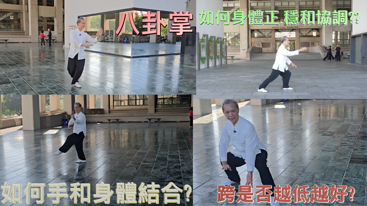 [免費 FREE]：潘義順師傅 :正、穩、協調 Master Pan Yi Shuen: Alignment & Stability